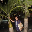  ,   , 65 ,  