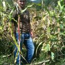  ,   Paata, 36 ,   ,   , c 