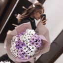 ���������� �������, ���� ������� �������, 24 ����, ������������ ��� c�������� ���������, ���������