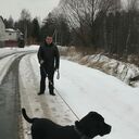 ���������� ������, ���� ������� ���������, 41 ���, ������������ ��� ����� � ���������, c�������� ���������