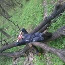 ���������� �������, ���� ������� ��������, 39 ���, ������������ ��� ������