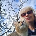 ���������� ������, ���� ������� �����, 53 ����, ������������ ��� ����� � ���������, ���������