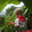 ���������� �����, ���� ������� ������, 70 ���, ������������ ��� ����� � ���������, c�������� ���������