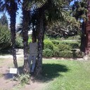 ���������� �����, ���� ������� �������, 43 ����, ������������ ��� ������, ����� � ���������, c�������� ���������