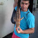  ,   Asef, 43 ,   