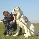  ,   Aihan, 37 ,   ,   , c 