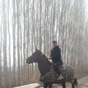 ���������� ������, ���� ������� ��������, 36 ���, ������������ ��� ������, ����� � ���������