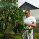 ���������� �����-���������, ���� ������� �������, 66 ���, ������������ ��� ������, ����� � ���������