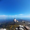  ,   , 35 ,     , c , 