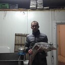  ,   Dima, 41 ,     , c 