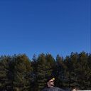  ,   , 36 ,   ,   , c 