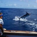 ���������� �����-���������, ���� ������� ������, 45 ���, ������������ ��� ������, ����� � ���������, c�������� ���������