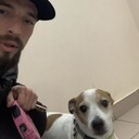 ���������� ����������, ���� ������� ������, 36 ���, ������������ ��� ������, ����� � ���������, c�������� ���������