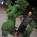 ���������� ������-��-����, ���� ������� ������, 46 ���, ������������ ��� ������, ����� � ���������, c�������� ���������