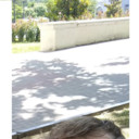 ���������� ����, ���� ������� ��������, 43 ����, ������������ ��� ������, ����� � ���������, c�������� ���������