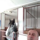   ,   , 44 ,   c 