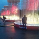 ���������� ����, ���� ������� �����, 29 ���, ������������ ��� ������, ����� � ���������, c�������� ���������