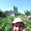  ,   Aydin, 50 ,   ,   