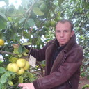 ���������� �����, ���� ������� ���, 43 ����, ������������ ��� ����� � ���������, c�������� ���������