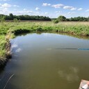 ���������� ������ �����, ���� ������� ��������, 36 ���, ������������ ��� ������, ����� � ���������, c�������� ���������, ���������