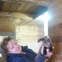  ,   , 56 ,  