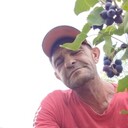  ,   , 51 ,   