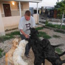 ���������� �����������, ���� ������� �����, 48 ���, ������������ ��� ������, ����� � ���������, c�������� ���������