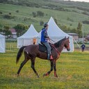 ���������� �������, ���� ������� ��������, 26 ���, ������������ ��� ����� � ���������