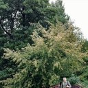 ���������� ������, ���� ������� ����, 32 ����, ������������ ��� ������, ����� � ���������, c�������� ���������