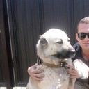 ���������� ��������������, ���� ������� ������, 41 ���, ������������ ��� ������, ����� � ���������, c�������� ���������