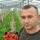  ,   , 40 ,   ,   , 