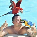 ���������� �����-���������, ���� ������� Nikita, 31 ���, ������������ ��� ������, ����� � ���������