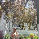  ,   , 40 ,   ,   , c , 