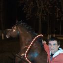 ���������� ������, ���� ������� ����, 34 ����, ������������ ��� ������, ����� � ���������, c�������� ���������