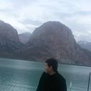  ,   Forex, 31 ,     , c , 