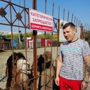 ���������� ������, ���� ������� ������, 38 ���, ������������ ��� ������, ����� � ���������, c�������� ���������