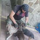  ,   , 35 ,  