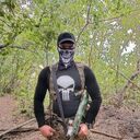 ���������� ������, ���� ������� ������, 37 ���, ������������ ��� ������, ����� � ���������, c�������� ���������, ���������