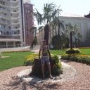 ���������� ��������, ���� ������� �����, 43 ����, ������������ ��� ����� � ���������, c�������� ���������