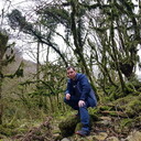 ���������� �������, ���� ������� ���������, 36 ���, ������������ ��� ����� � ���������, c�������� ���������, ���������