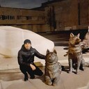 ���������� �����-���������, ���� ������� ���������, 27 ���, ������������ ��� ������, ����� � ���������