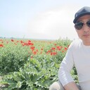  ,   Ario, 33 ,   ,   