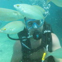 ���������� ���������, ���� ������� ������, 40 ���, ������������ ��� ������, ����� � ���������