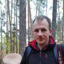 ���������� ������, ���� ������� ������, 40 ���, ������������ ��� ������, ����� � ���������, c�������� ���������, ���������