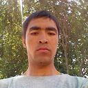 ���������� ������, ���� ������� ���������, 38 ���, ������������ ��� ������, ����� � ���������