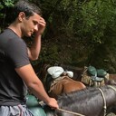 ���������� ����, ���� ����� �����, 24 ����, ������������ ��� ������, ����� � ���������