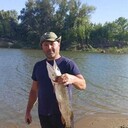 ���������� ������, ���� ������� ������, 50 ���, ������������ ��� ������, ����� � ���������