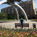 ���������� �����, ���� ������� ����, 43 ����, ������������ ��� ����� � ���������, c�������� ���������