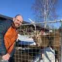 ���������� �����-���������, ���� ������� �������, 40 ���, ������������ ��� ���������