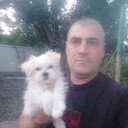   ,   , 40 ,   c , 